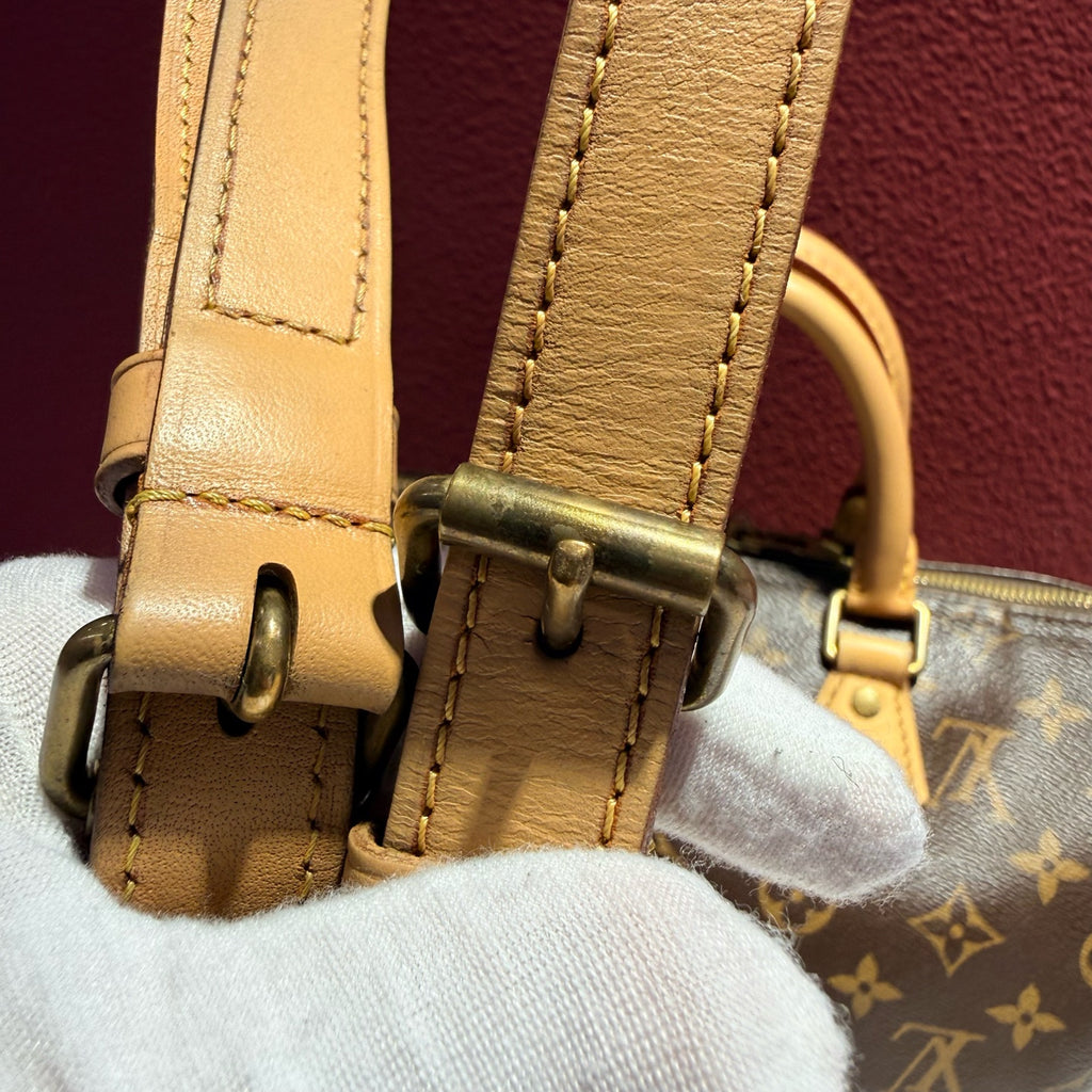 Louis Vuitton Speedy 25 Crossbody 25.0x 19.0x 15.0 cm M41113