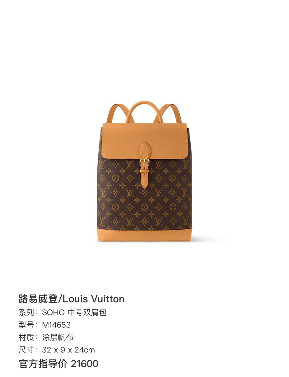 Louis Vuitton SOHO Medium Backpack Canvas Backpack 32 x 9 x 24cm M14653