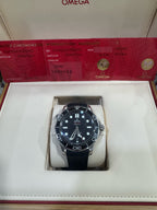 Omega Seahorse series 42 210.32.42.20.01.001