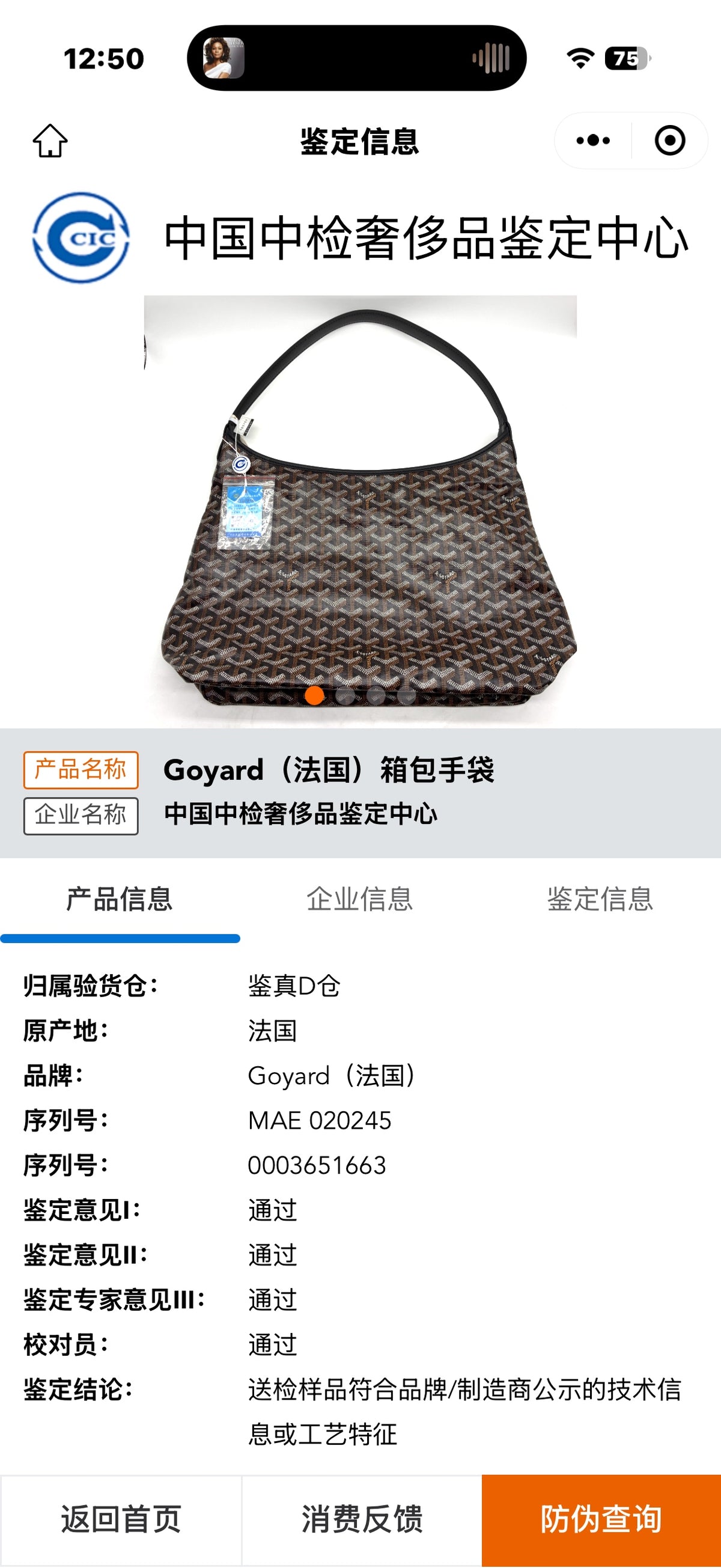 Goyard Canvas 32 cm x 13.5 cm x 34 cm BOHEMEPMLTY08CL08P