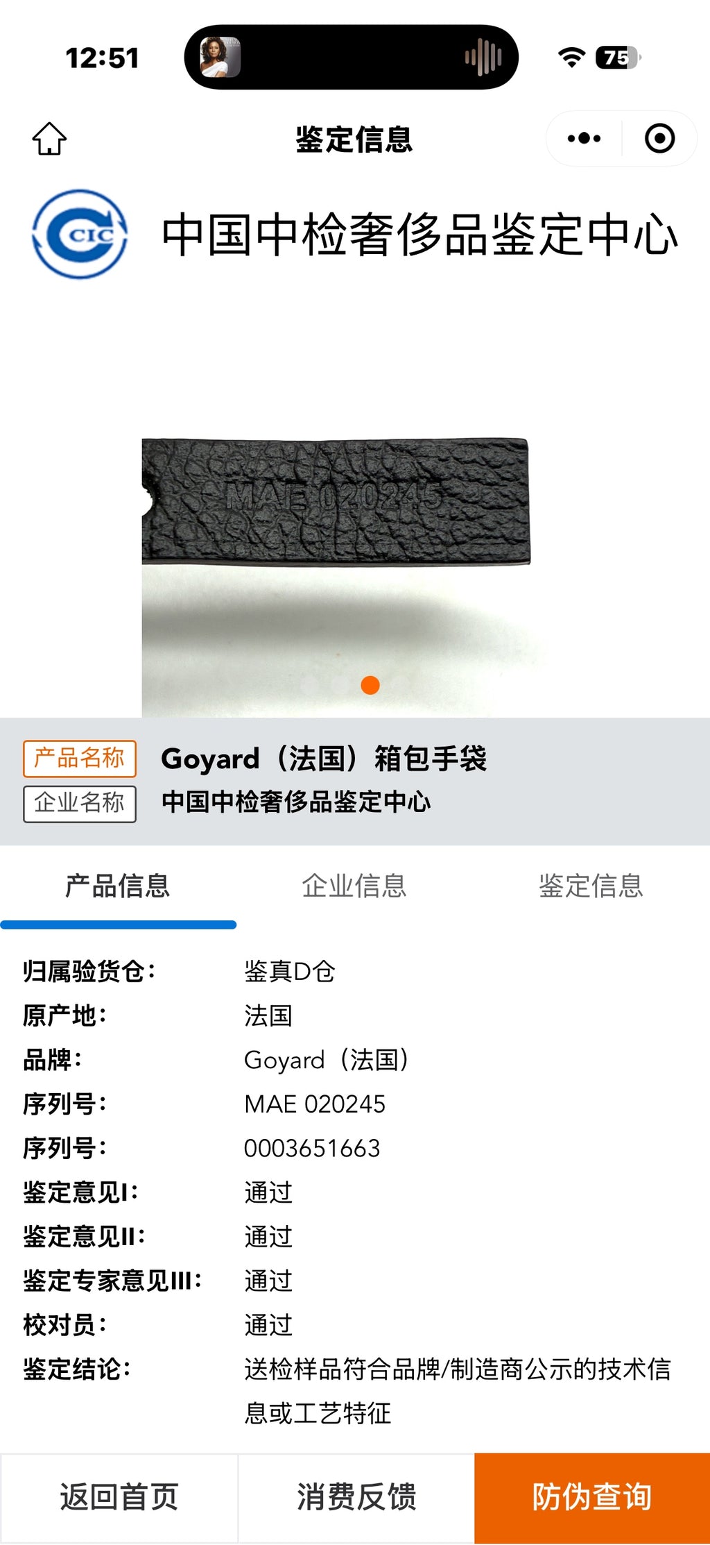Goyard Canvas 32 cm x 13.5 cm x 34 cm BOHEMEPMLTY08CL08P