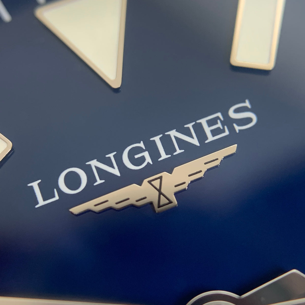 Longines Longines Conquest Diving Collection 42.00mm L3.788.4.96.6